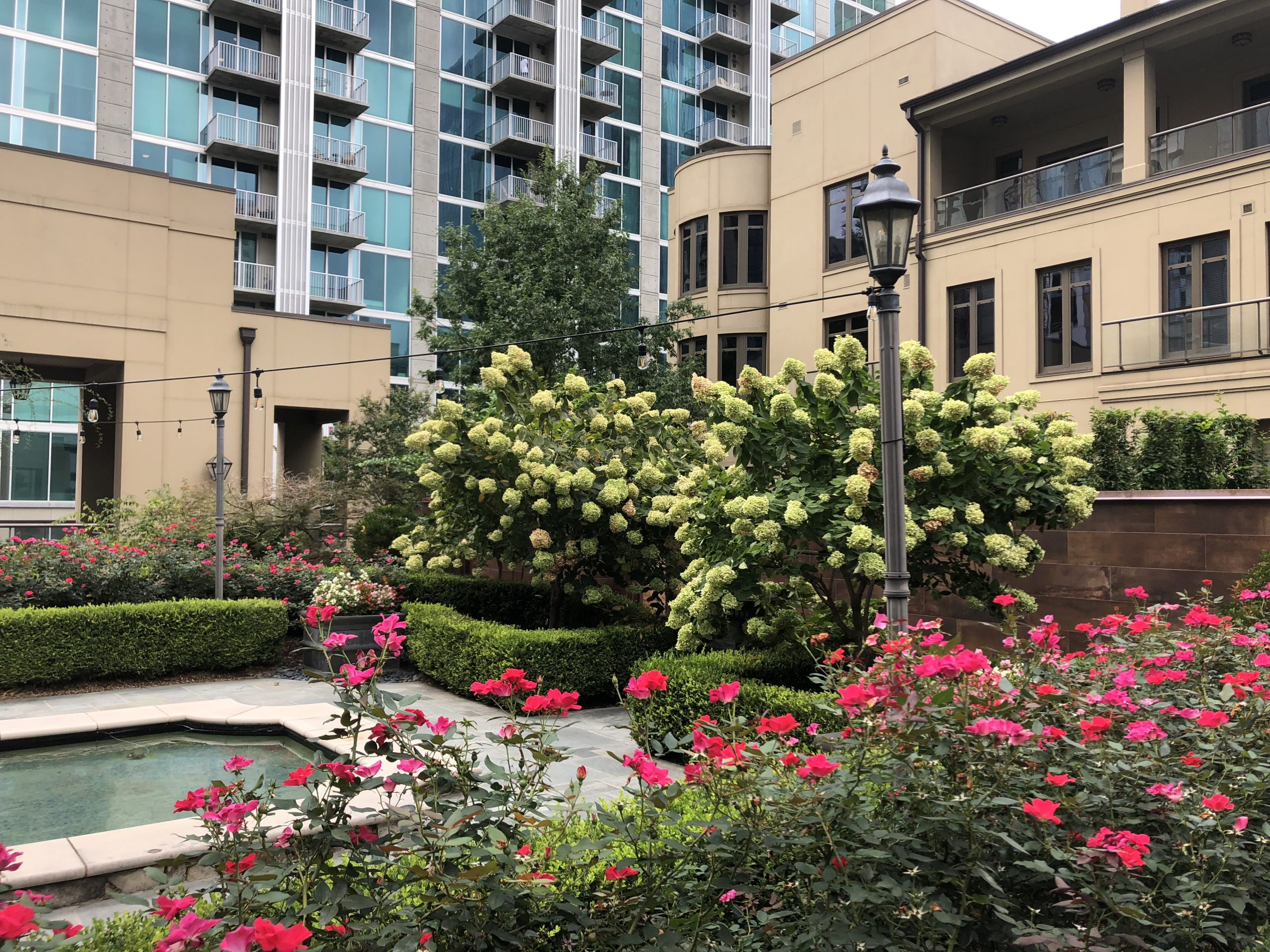 Commercial Landscape Construction Services