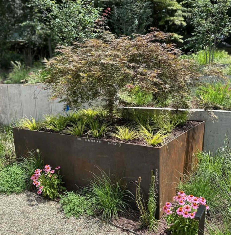 Corten Steel planter